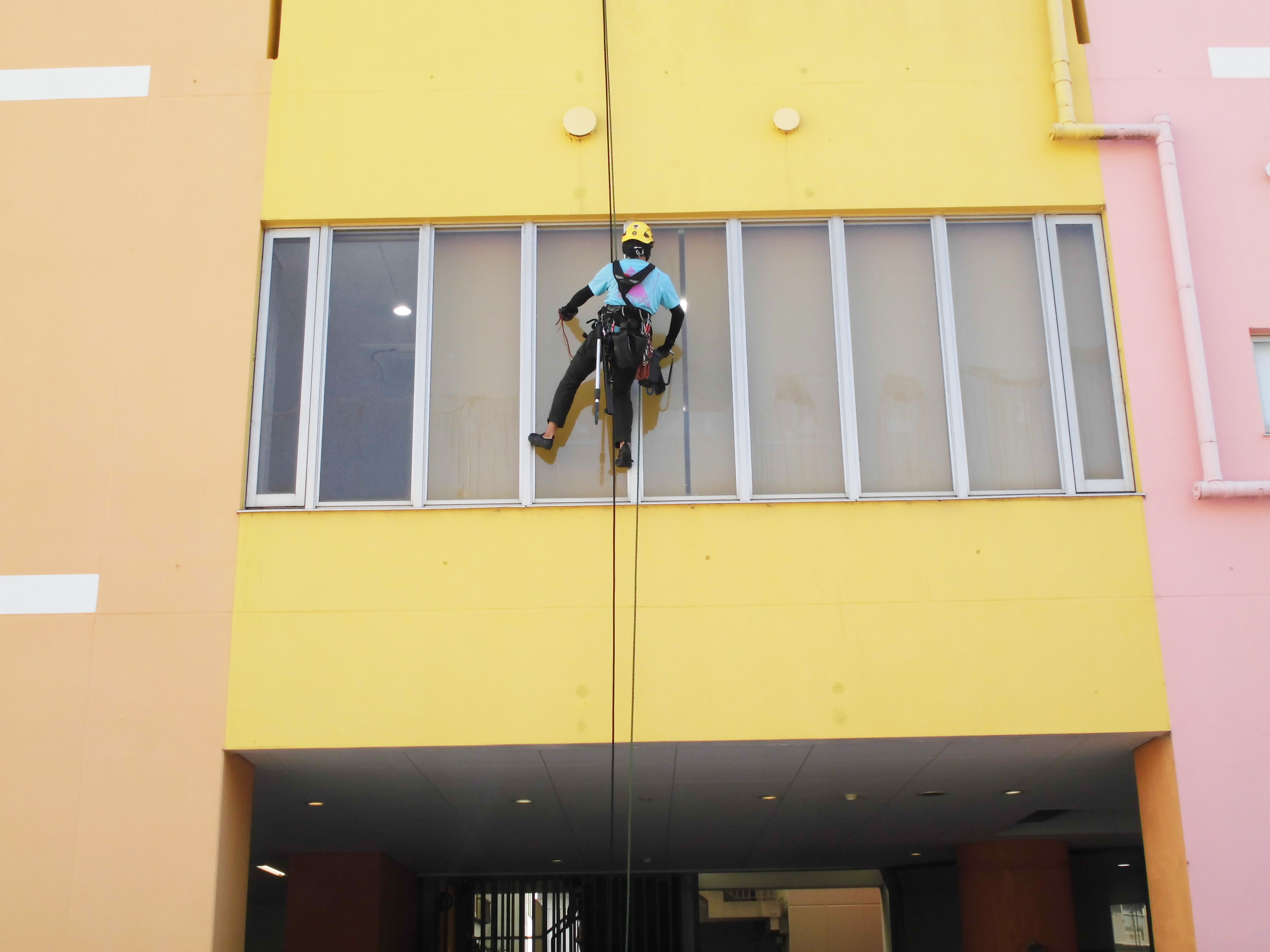 ハシゴを使った掃除