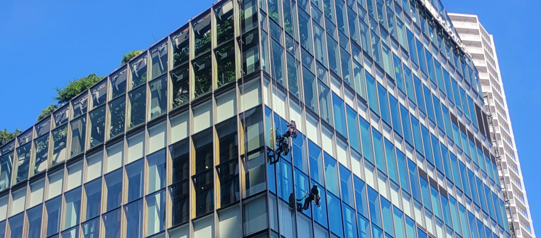 高層ビルのガラス窓清掃